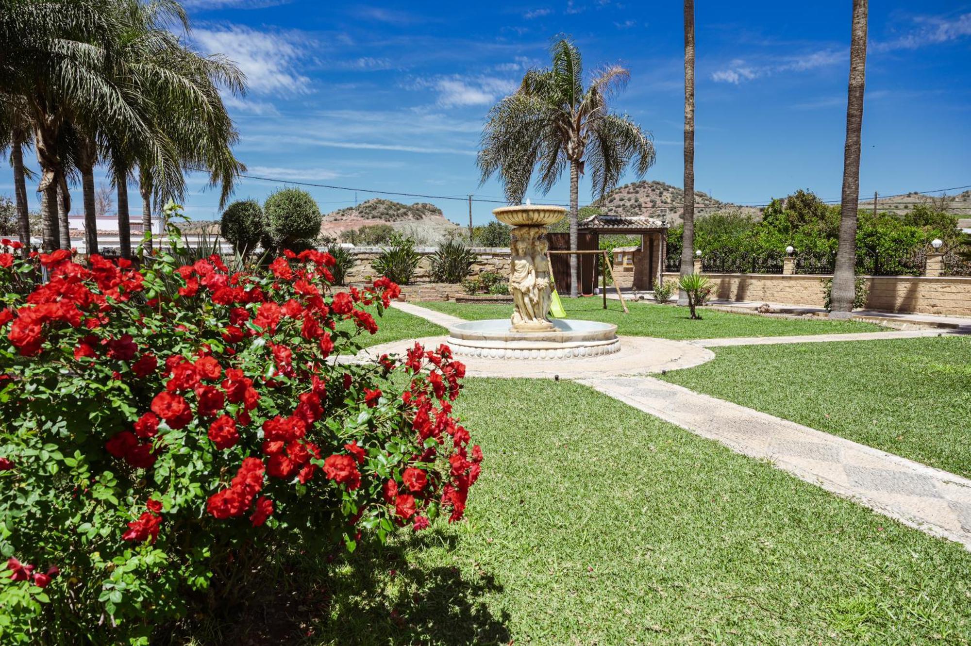 Amplia Casa Rural Con Precioso Jardin Cerca De Malaga Capital. Oda fotoğraf